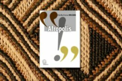 Article : Afropolis : un essai sur un panafricanisme transculturel